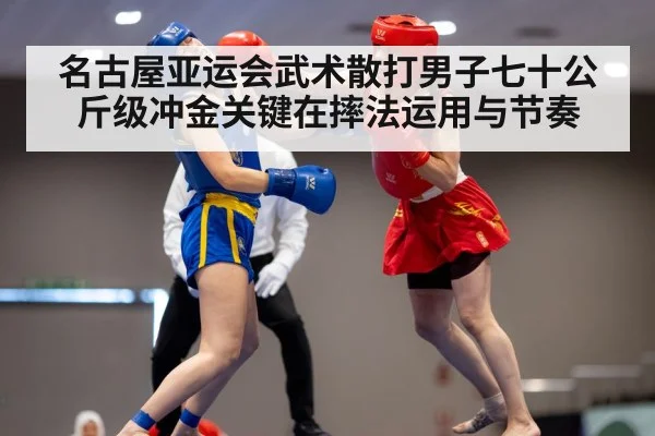 wushu sanda competition