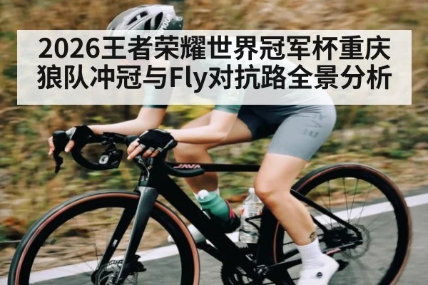 2026王者荣耀世界冠军杯重庆狼队冲冠与Fly对抗路全景分析